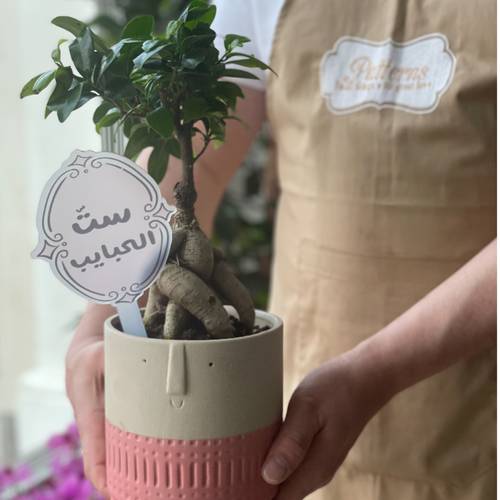نبته بغرسة يوم الأم