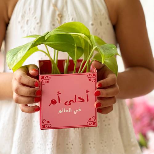 توزيعات نبتات أحلى أم بالعالم ❤️🪴