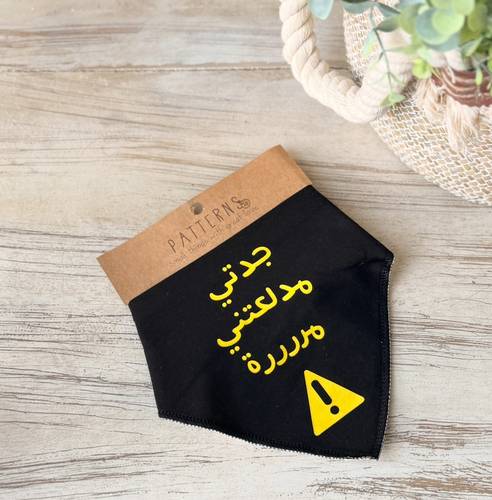 صدارة (جدتي مدلعتني مرة )