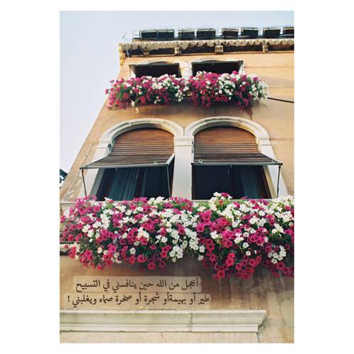 دفتر 