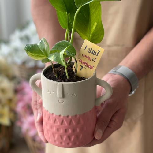 حوض بمسكة (زهر)