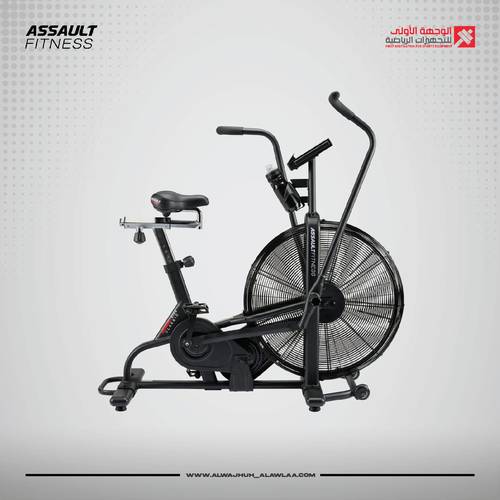 assault bike classic 