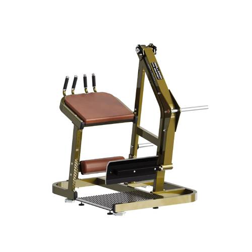  REALLEADER GLUTE MACHINE LD-2008