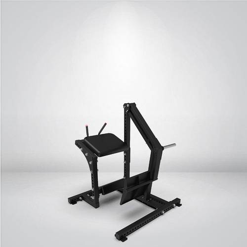 STRANGE STRENGTH GLUTE HAM Y-215