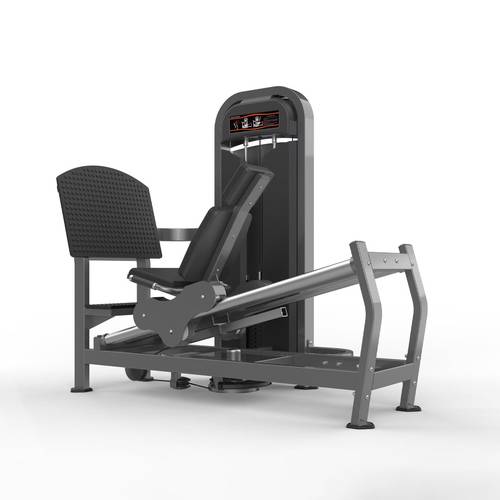 Realleader M2 1009 seated leg press