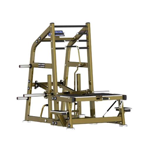 REALLEADER BELT SQUAT LD-2004