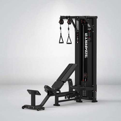 STRANGESTRENGTH cross cable rear delt - Y-149