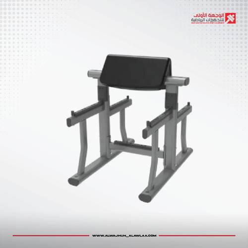 STANDING ARM CURL BENCH بنش سواعد واقف سلفر جديد 