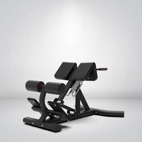    STRANGE STRENGTH Back Extension bench Y-408