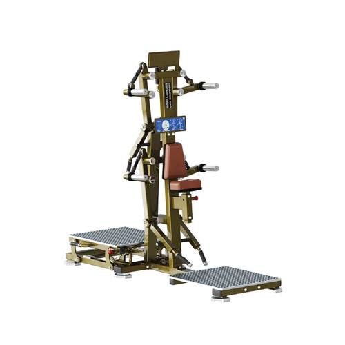 REALLEADER lateralraise/rear deltoid LD-1004