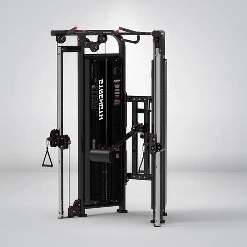 STRANGESTRENGTH ADJUSTABLE DUAL PUIIEY SYSTEM -A - Y- 302