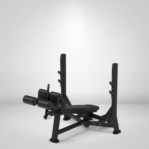 STRANGE STRENGTH BENCH, OLY DECLINE Y-403