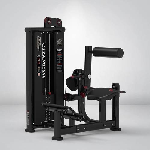 STRANGESTRENGTH back extension - Y- 132