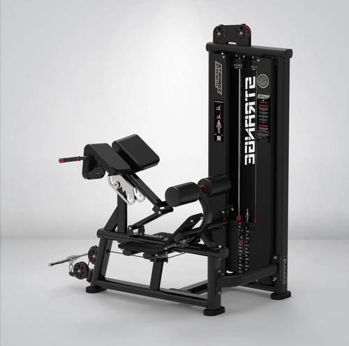 STRANGESTRENGTH back extension - Y-106