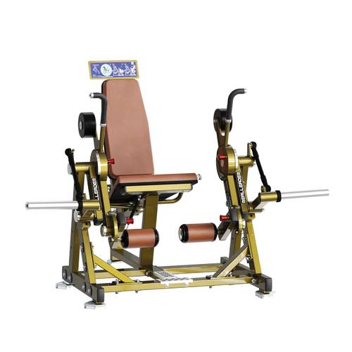 REALLEADER LEG EXTENION LD-2001