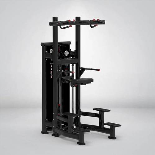 STRANGESTRENGTH chin/dip - Y-118