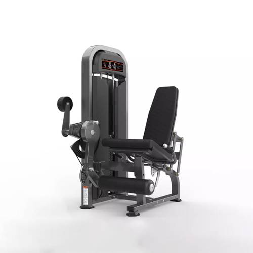 Realleader M2 1005  leg extension
