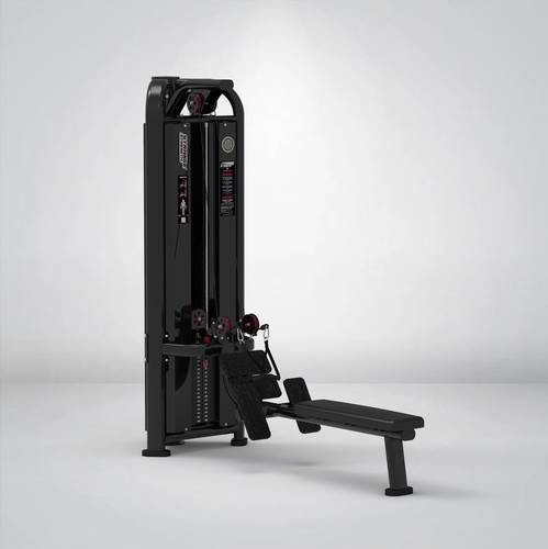 STRANGESTRENGTH Seated Row - Y-104