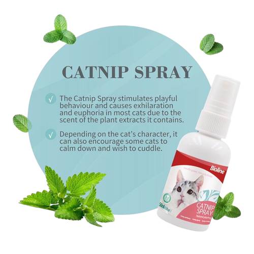 بيولاين بخاخ كاتنيب للقطط 50ml