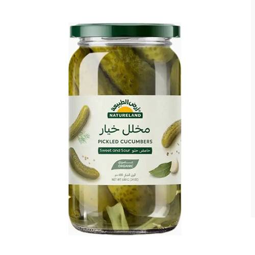 ارض الطبيعية مخمر خيار 670جرام