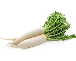 فيجل ابيض Fisil