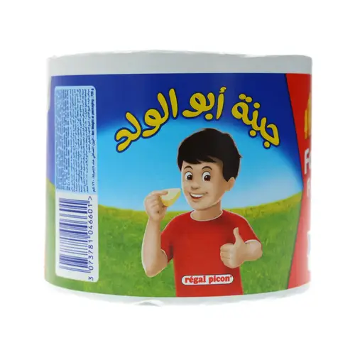 جبنة ابو الولد حجم عائلي48 قطعه 730جرام