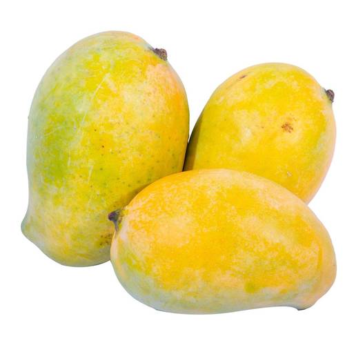كيلو مانجو F Mango