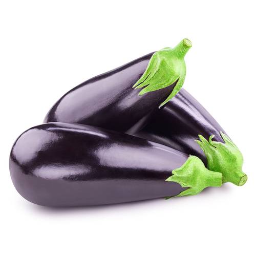 باذنجان فلين كبير