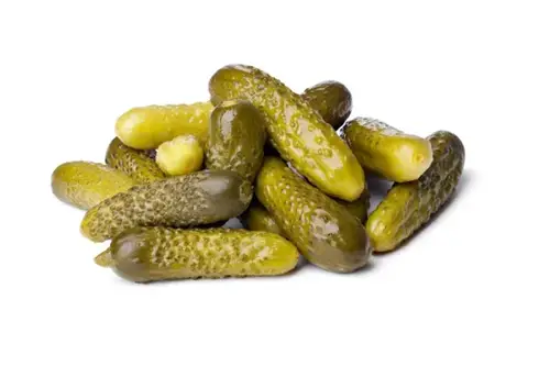 مخلل خيار