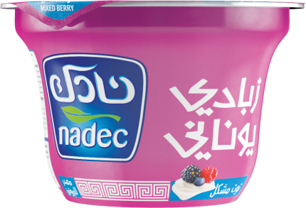 نادك زبادي يوناني توت مشكل 160جرام