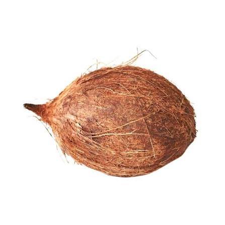 جوز الهند فرش Green Coconut