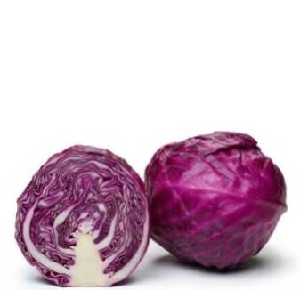 ملفوف احمر Malfug red