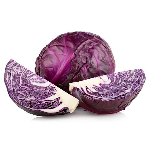 ملفوف احمر Malfug red حبه