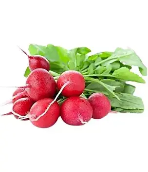 فيجل احمر Fisil