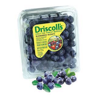 توت بري Tooth adarak berry