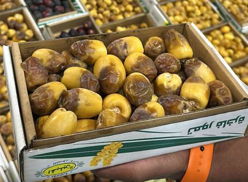 تمر ام كبار مناصيف