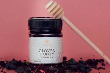 عسل بينز زهرة البرسيم beenz clover honey 250 gm
