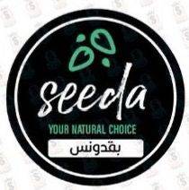 بقدونس ناشف