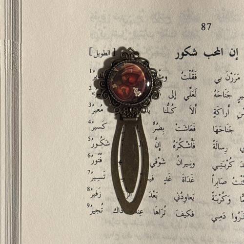 فاصل معدني عتِيق - فتاة الرُمان