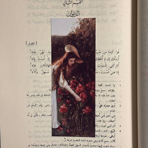 فاصل كِتاب ورقي 24