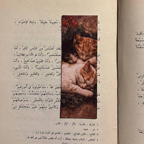 فاصل كِتاب ورقي 4