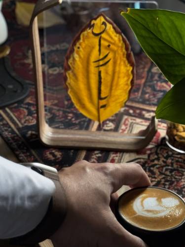 منظر 