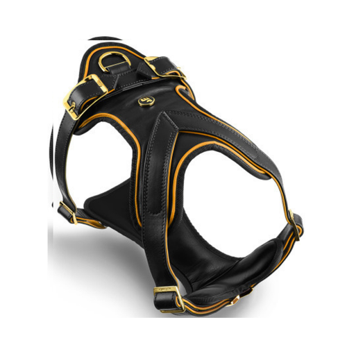 MF HERMITAGE Harness Leather Black/Gold