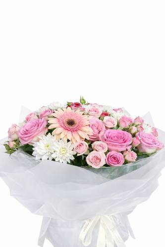 روزا بينك