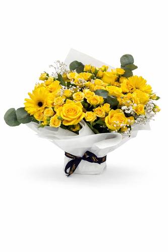 يلو ميوز