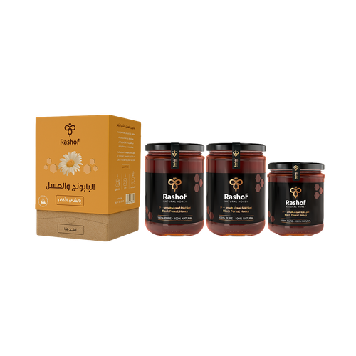 Balance Bundle