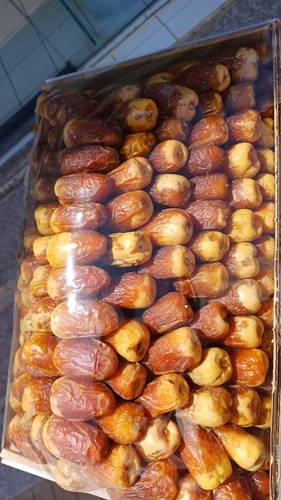 صقعي فاخر