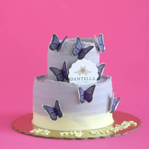 Baby Purple Butterfly_ بيبي بيربل بترفلاي