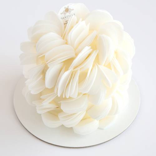 Classic Shifon cake medium