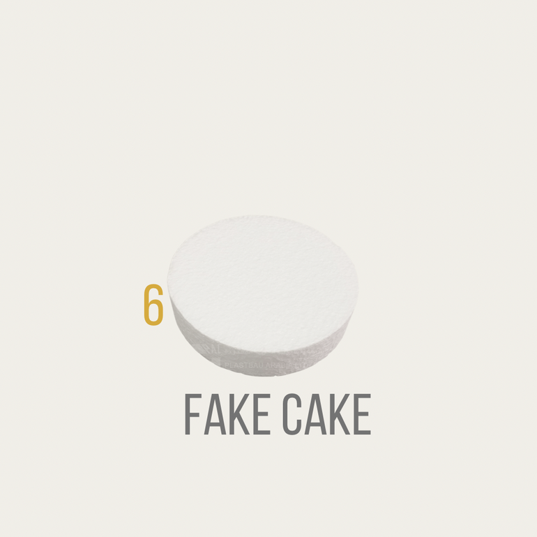 Fake cake six inch single